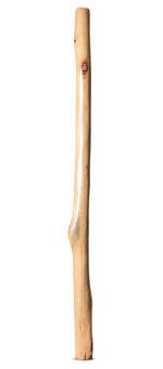 Earl Clements Didgeridoo (EC500)